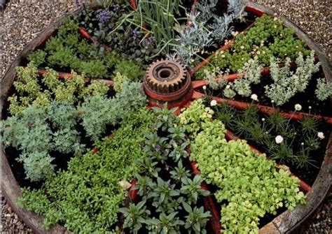 medicinal herb garden layout